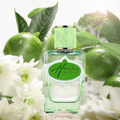 Sky Garden Women's Perfume Fresh and Long-lasting Light Fragrance Floral Tone Douyin Kuaishou Live Broadcast Popular Perfume Wholesale 
