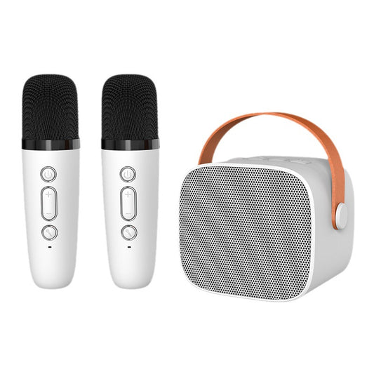 P2 dual-microphone wireless Bluetooth speaker with microphone karaoke integrated audio home portable outdoor singing wholesale 